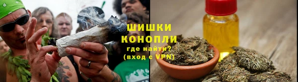 винт Аркадак