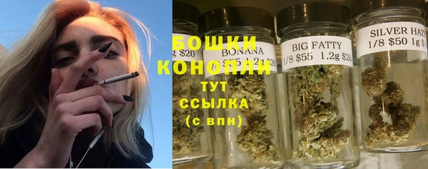 прущие грибы Нефтекумск